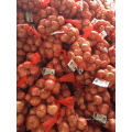 2016 Fresh Shallot (3-5 cm) em 1lb ou 40lb Mesh Bag